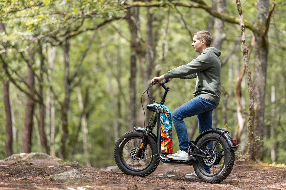 Electric all-terrain scooter rental ZOSH - Andorra